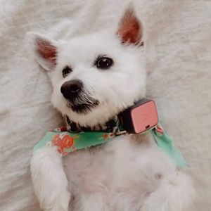 Meet your Posher, Heidi